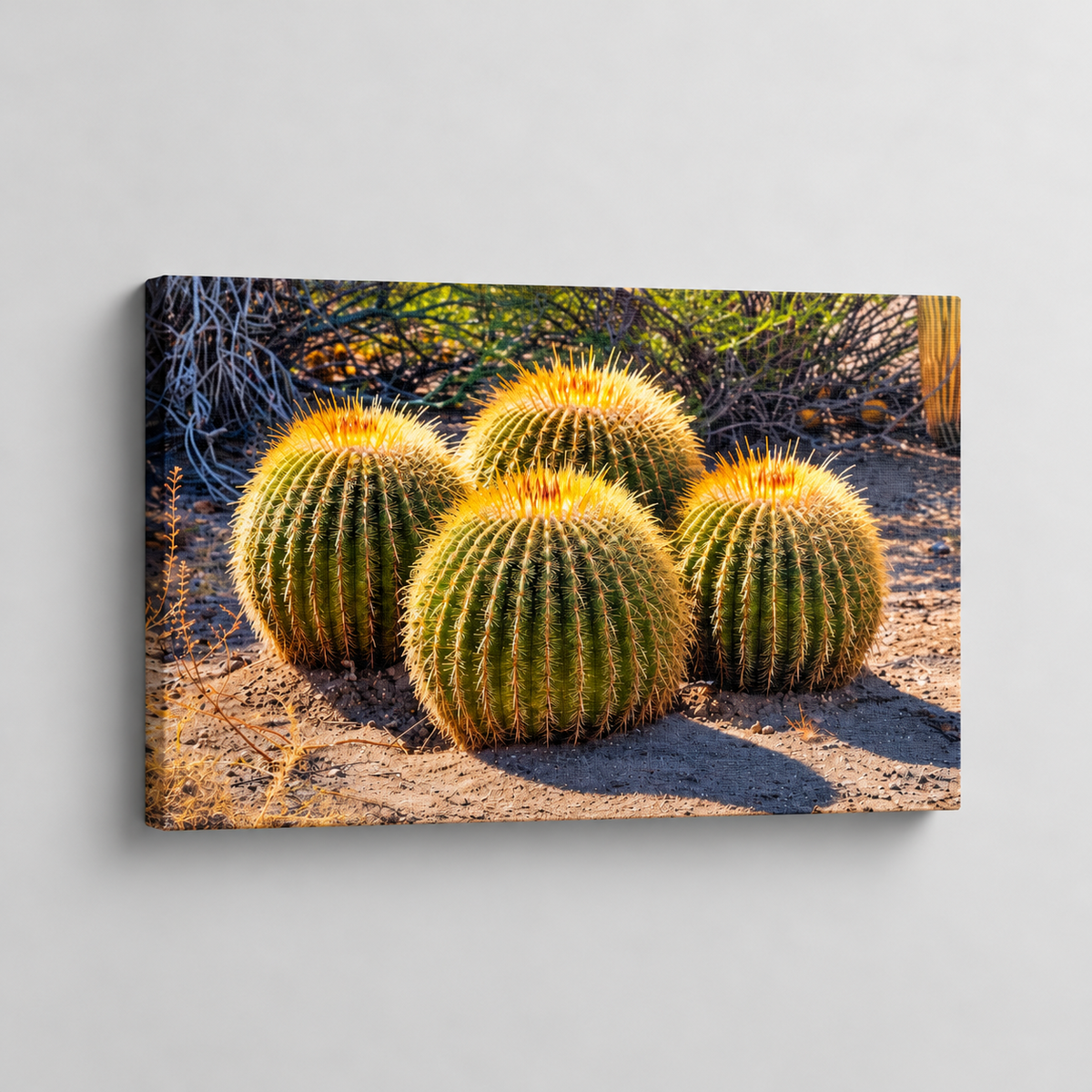 Esencia del desierto